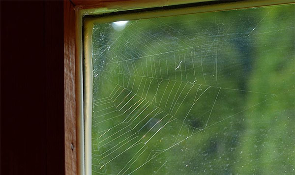 spider web in doorway