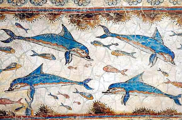 dolphin artwork