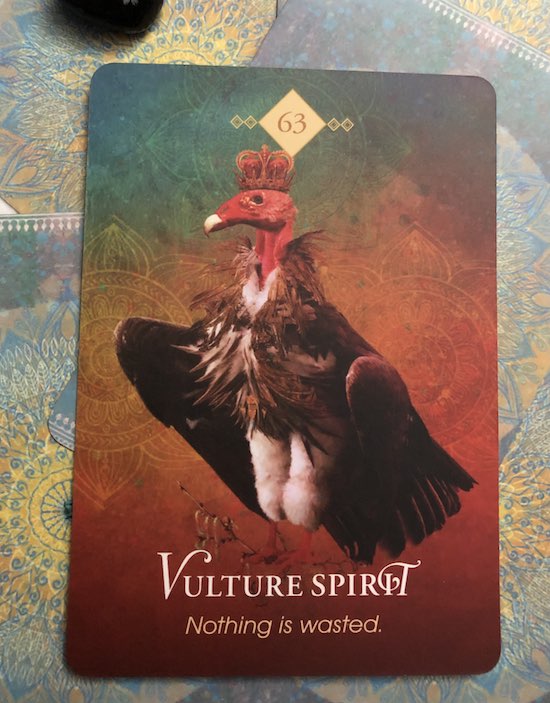 vulture oracle card