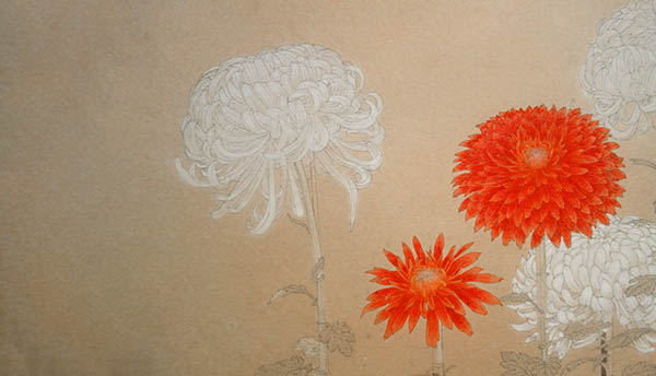 chrysanthemum spiritual meaning omens symbolism