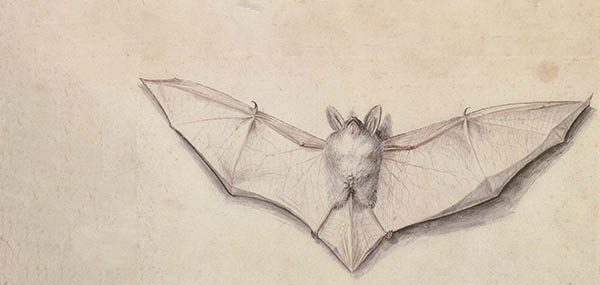 bat tattoo meaning