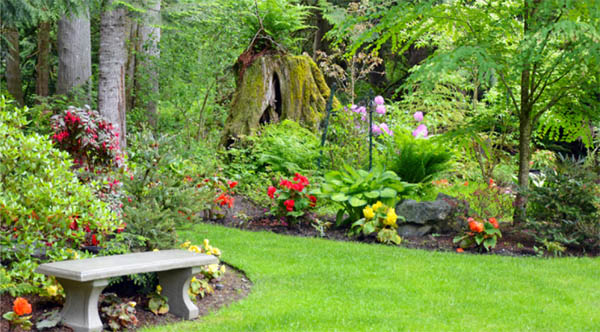 grackle yard garden spiritual meaning 