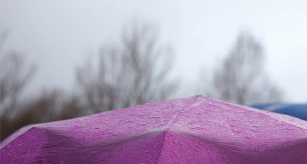 Spiritual Meaning of a Purple Umbrella