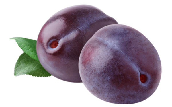 plum fruit meaning