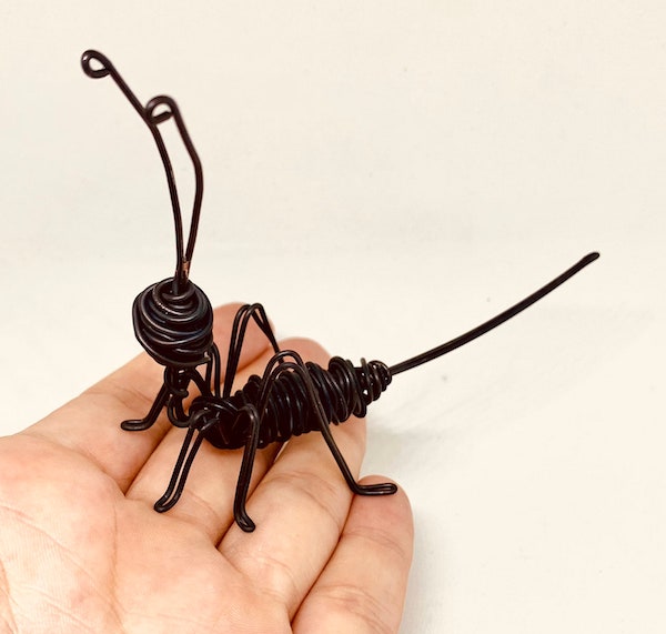 black cricket wire spiritual meaning