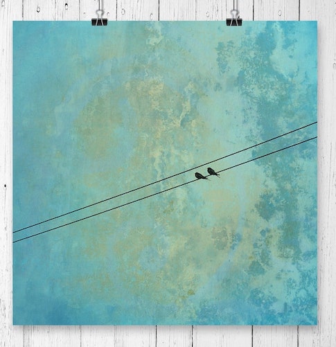 two birds on a power line spiritual meaning