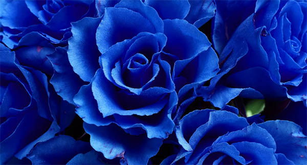 spiritual meaning of the color blue