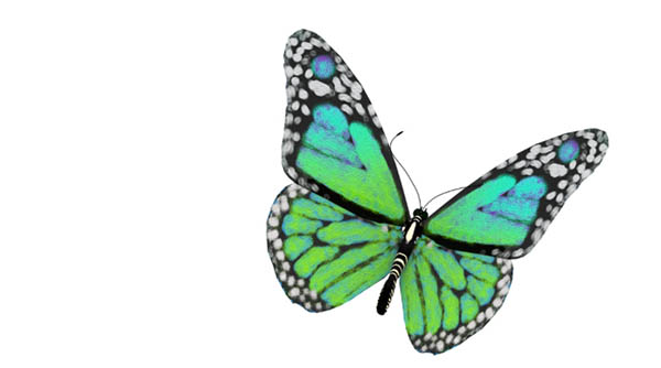 green butterfly spiritual meaning