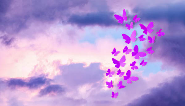 purple butterfly freedom meaning