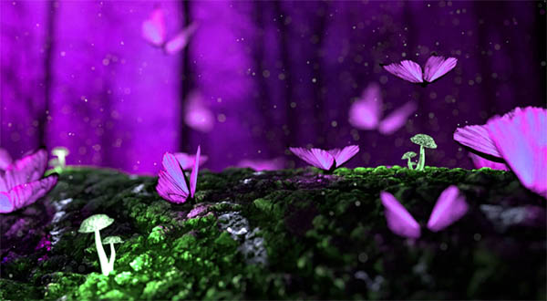 purple butterflies spiritual meaing