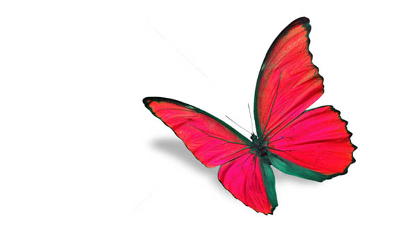 red butterfly spiritual meaning