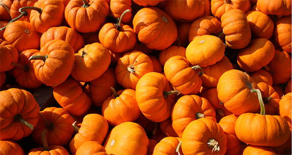 orange pumpkin spiritual meaning