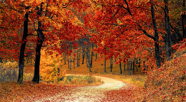 autumn orange leaves spiritual meaning