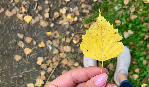 finding a leaf spiritual meaning