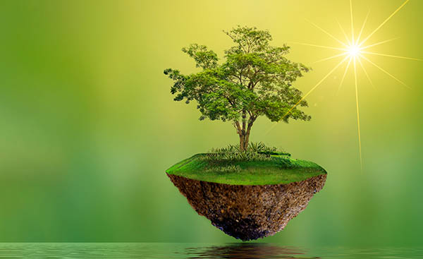 world tree spiritual meaning